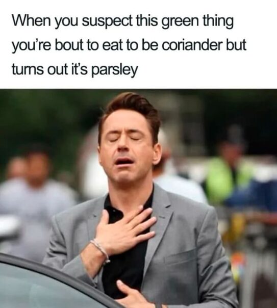 20 Spicy Memes To Commemorate International I Hate Coriander Day