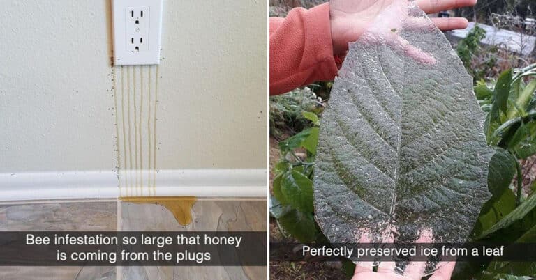 18 Truly Fascinating Pictures Making The Rounds This Week