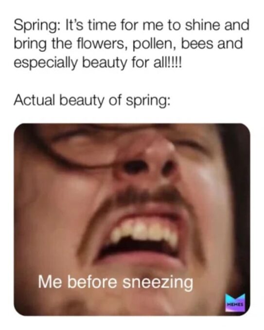 Seasonal Allergy Memes Are Nothing To Sneeze At (25 Memes)