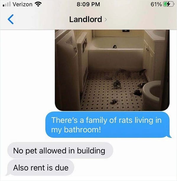 Tenants Are Shaming Their Bad Landlords In This Online Group (NEW PICS) - Jarastyle