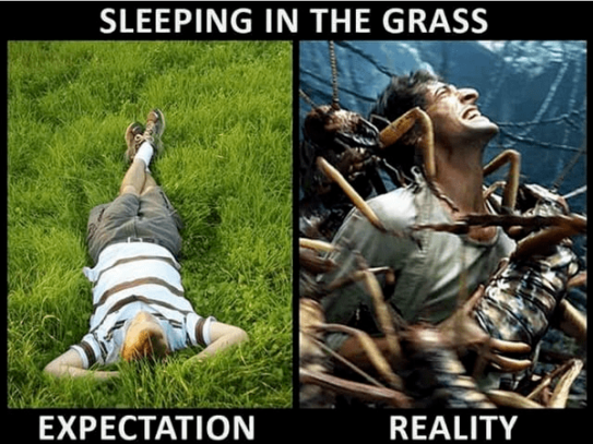 Expectation Vs Reality, With A Heavy Dose Of Reality (24 Pics)