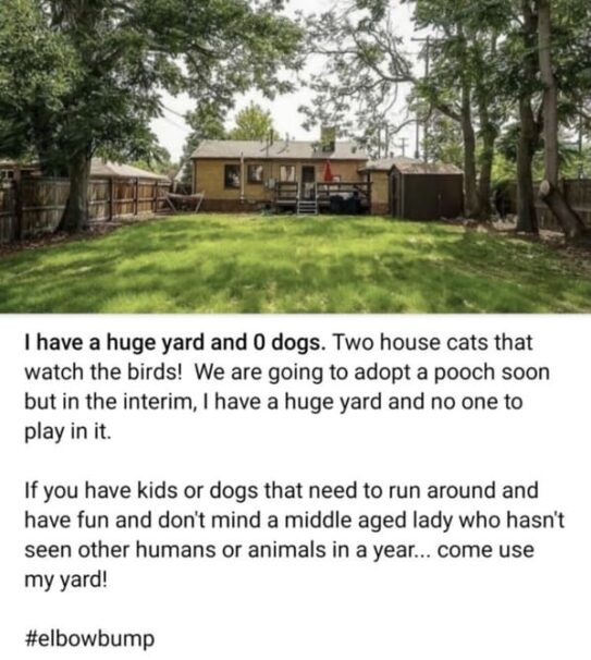 21 Funny Nextdoor App Posts From Best Of Nextdoor Twitter