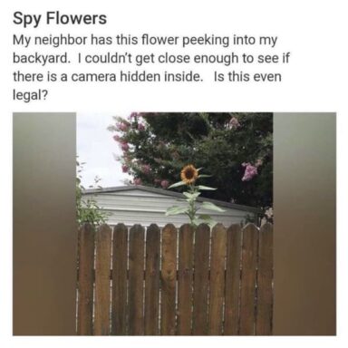 21 Funny Nextdoor App Posts From Best Of Nextdoor Twitter