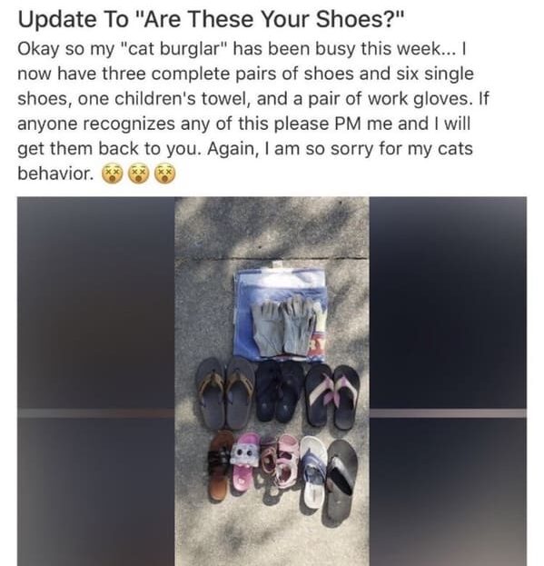 21 Funny Nextdoor App Posts From Best Of Nextdoor Twitter