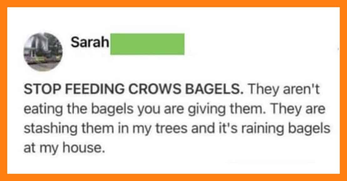 21 Funny Nextdoor App Posts From Best Of Nextdoor Twitter