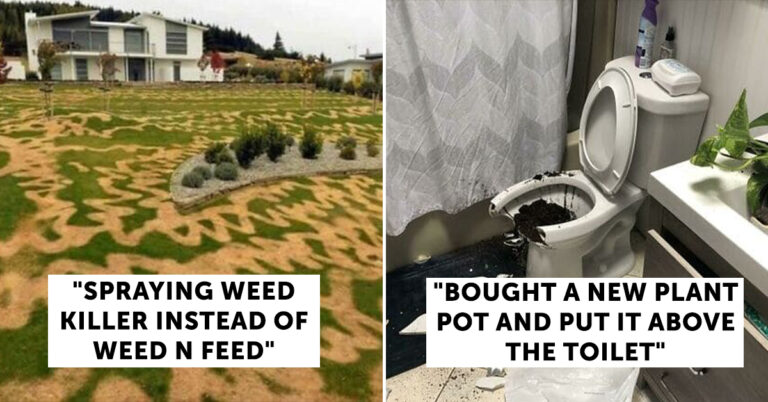 Buy A House They Said (35 Home Improvement Fails)