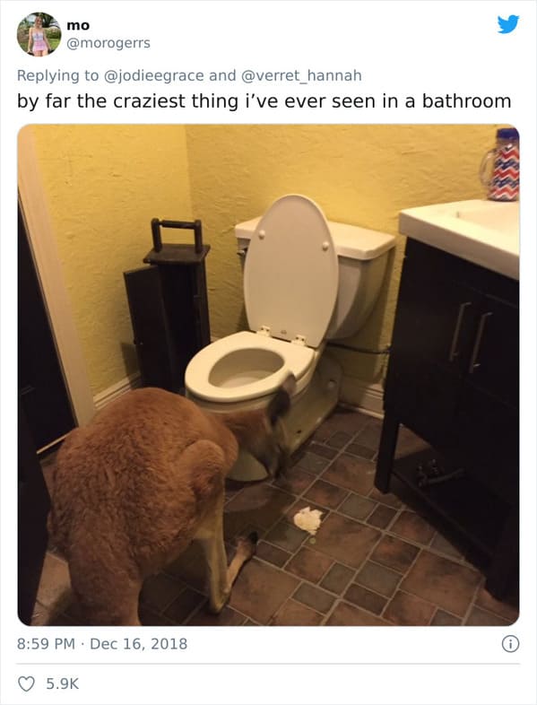 People On Twitter Share The Most Bizarre Things They've Found In Men's Bathrooms (50 Tweets) - Jarastyle