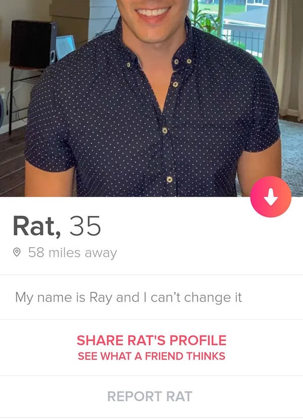 funny tinder bios  - rat name