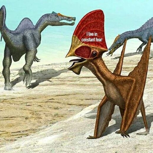 Dinosaurs May Be Extinct But These Memes Will Be Around Forever (28 Memes)