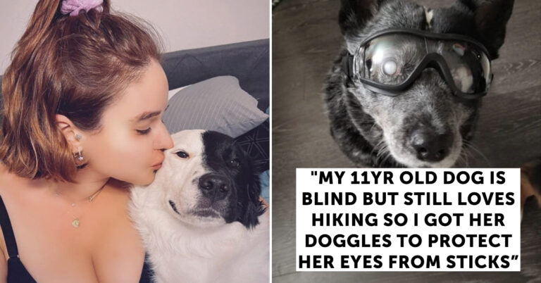 There’s Nothing A Wholesome Dose Of Dogs And Cats Can’t Make A Little Better (25 Pics)