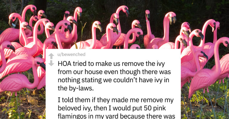 Homeowners Are Sharing Their Most Satisfying HOA Revenge Stories