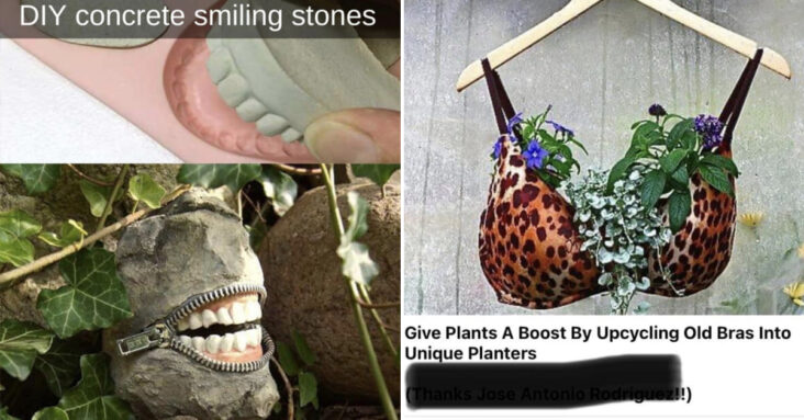 Give Plants A Boost By Upcycling Old Bras Into Unique Planters