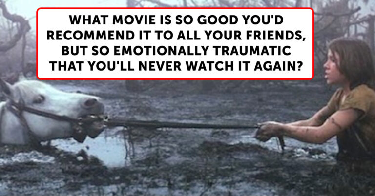 People Share Movies They Loved, But Are Too Emotionally Traumatic To Watch Again