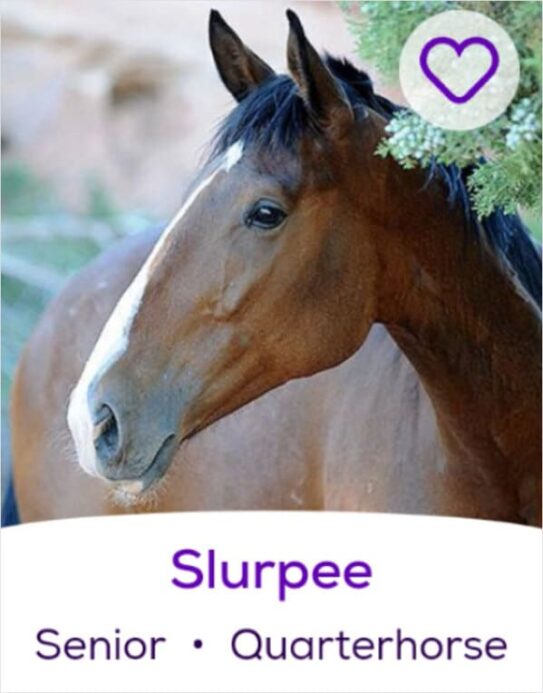Petfinder Names Account Shares The Most Creative Pet Names People petfinder-names-account-shares-the-most-creative-pet-names-people