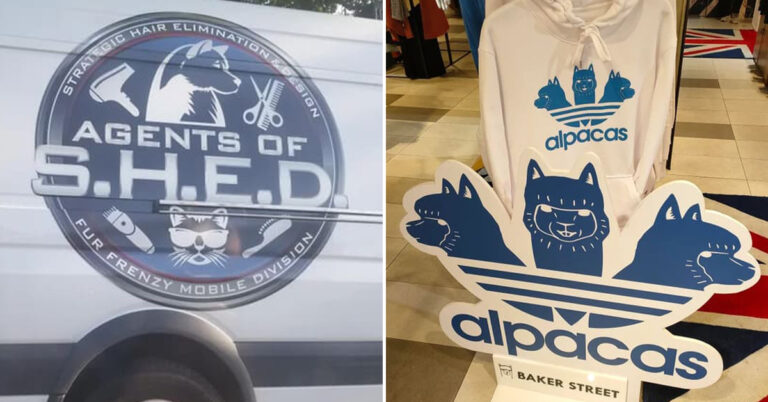 These Awesome Off Brands Are As Good As The Real Thing (30 Pics)