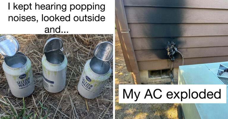 20 Pictures That Show Just How Brutal The Northwest Heat Wave Is
