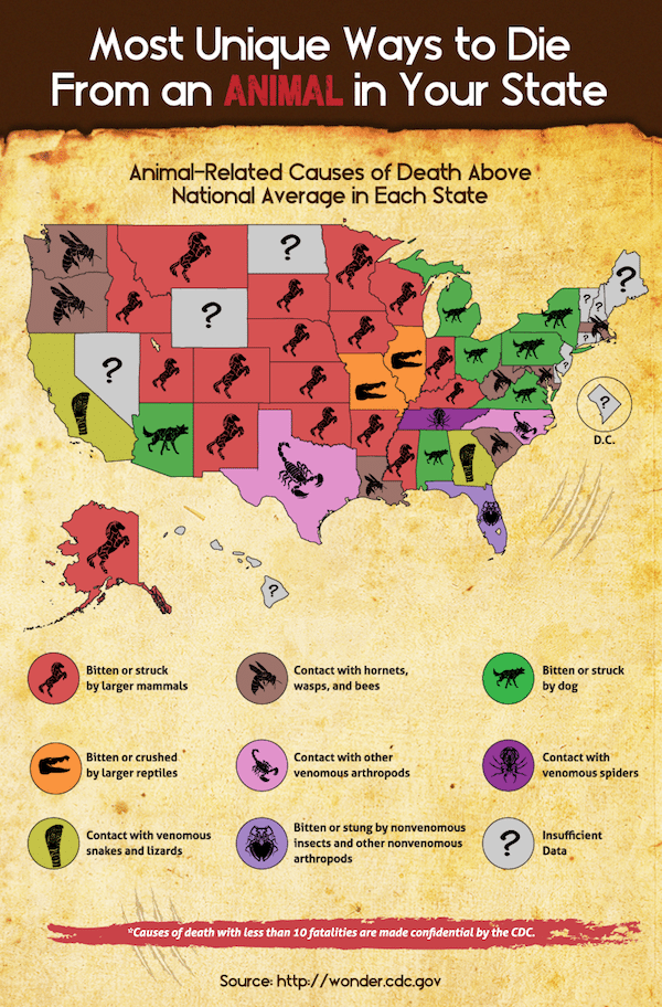 most dangerous animals chart