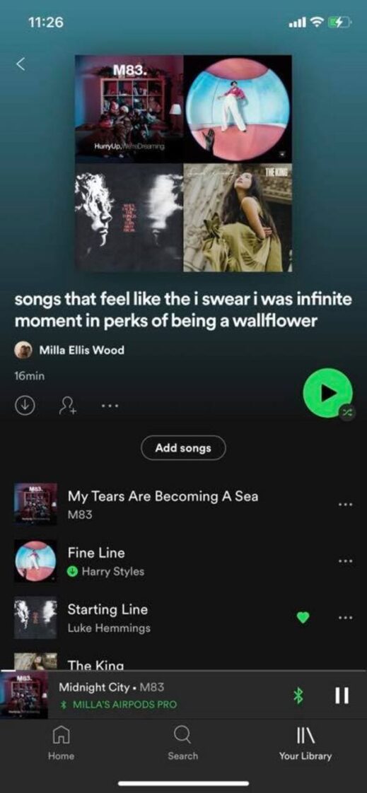 Playlists With A Theme...An Oddly Specific Theme (30 Pics)