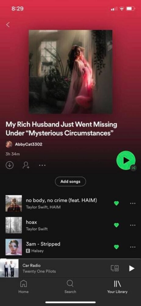 Playlists With A Theme An Oddly Specific Theme 30 Pics