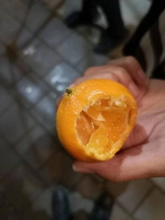 There's A Right Way To Eat And This Is Not It (19 Pics)