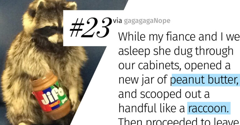 People Are Sharing Stories About The Worst Houseguests They’ve Ever Had (35 Stories)