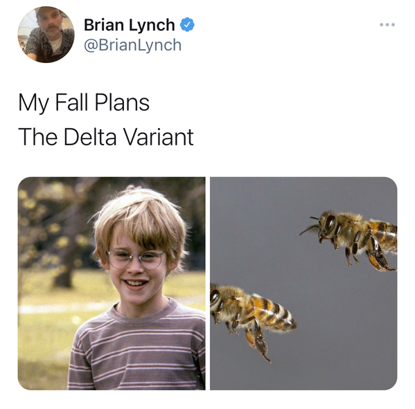 my fall plans delta variant meme, my fall plans delta variant tweet, my fall plans the delta variant