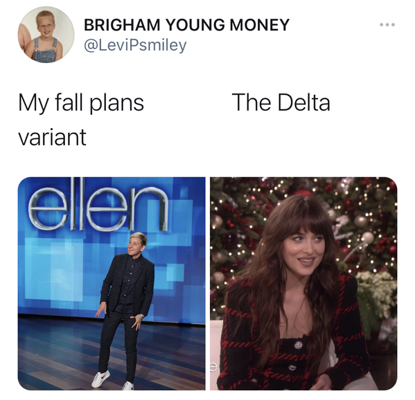 my fall plans delta variant meme, my fall plans delta variant tweet, my fall plans the delta variant