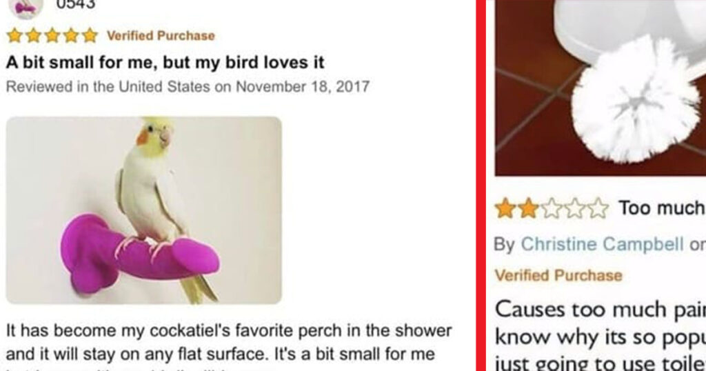 Crazy Online Reviews