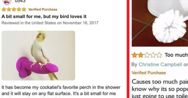 Crazy Online Reviews