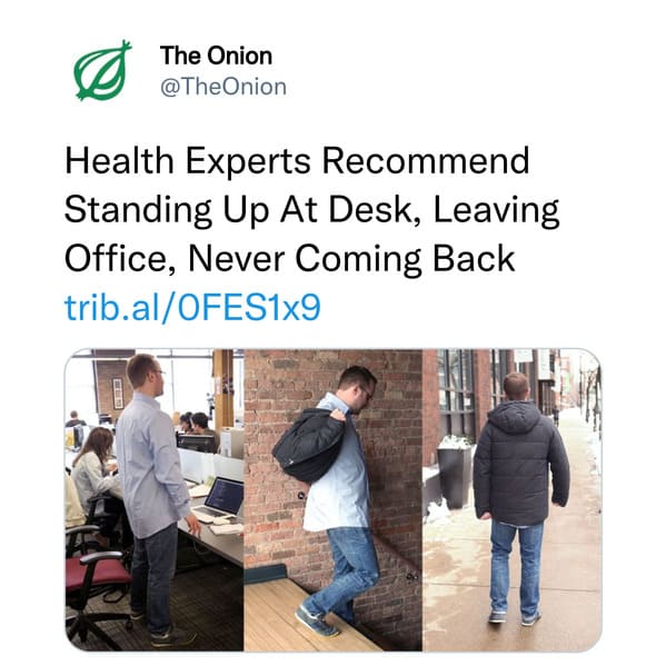 Fans Of The Onion Are Sharing Their Favorite Articles 25 Pics