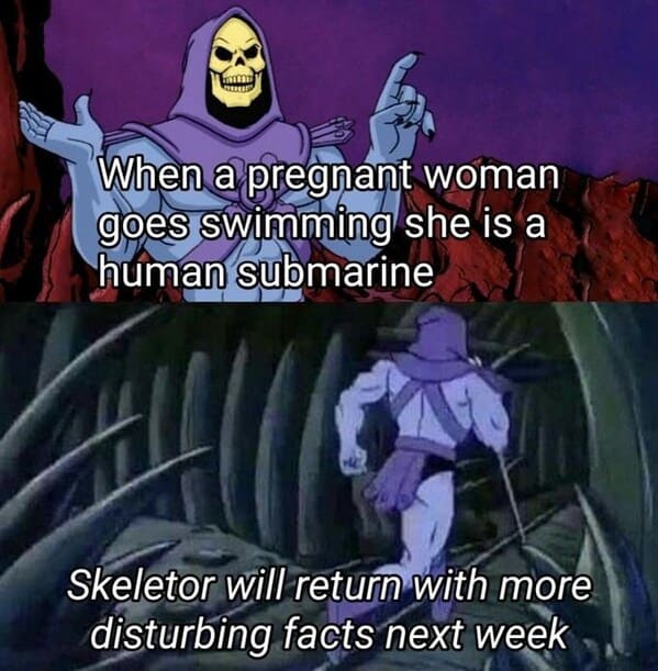 skeletor meme until we meet again - pregnant woman submarine