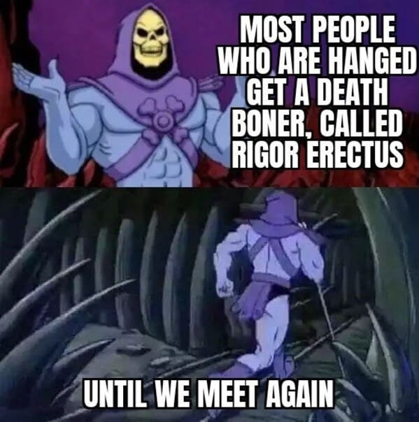 skeletor meme until we meet again - people hanged