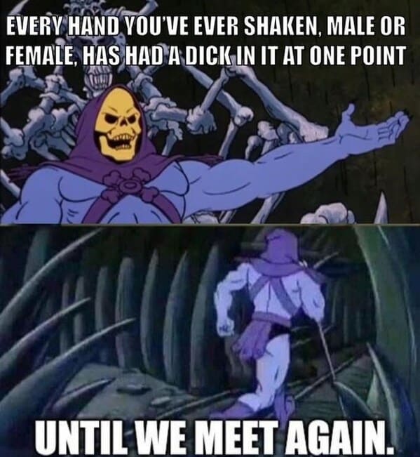 skeletor meme until we meet again - hand shaken