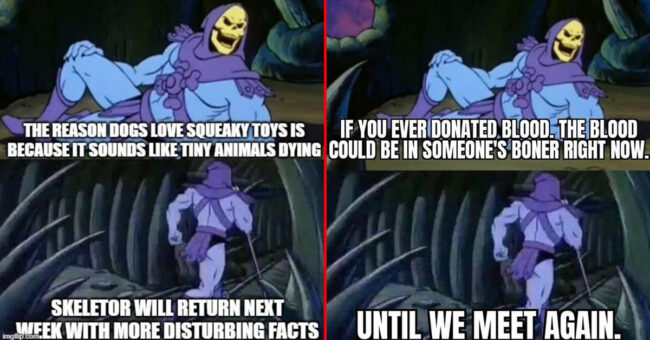 Skeletor Facts Memes Are Unsettling, But Funny (22 Memes)