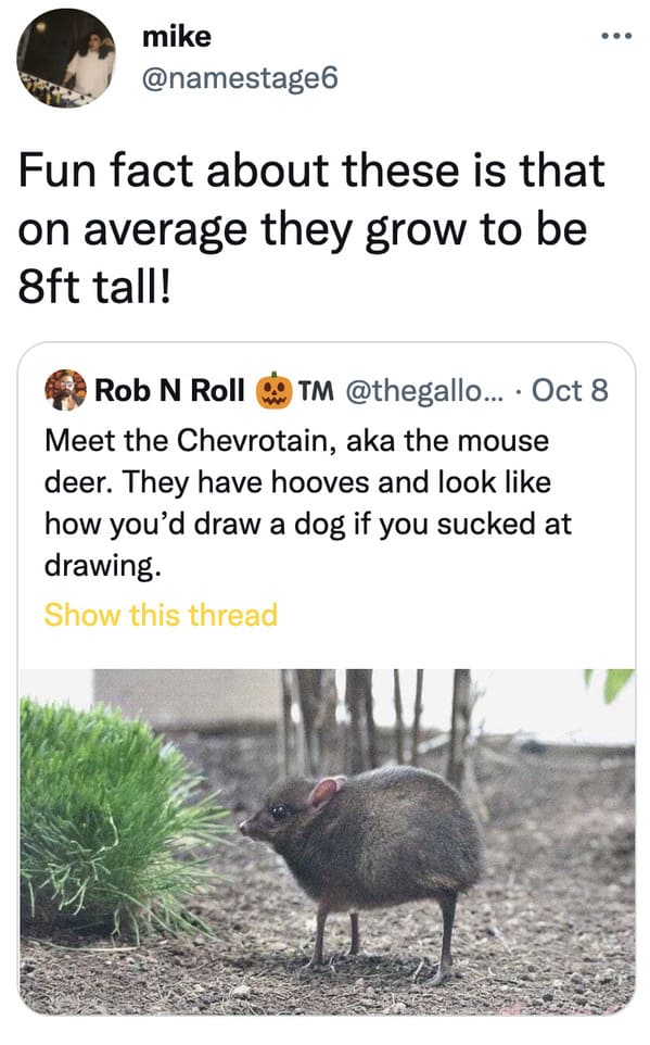 Sweet 16: Sixteen Funny Animal Tweets We Found On Twitter - I Can