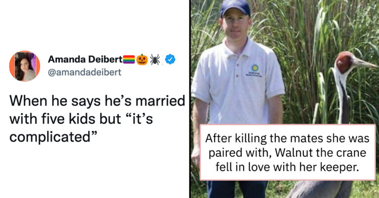 Walnut The Crane Rejects All Suitors And Falls In Love With Her Human Keeper