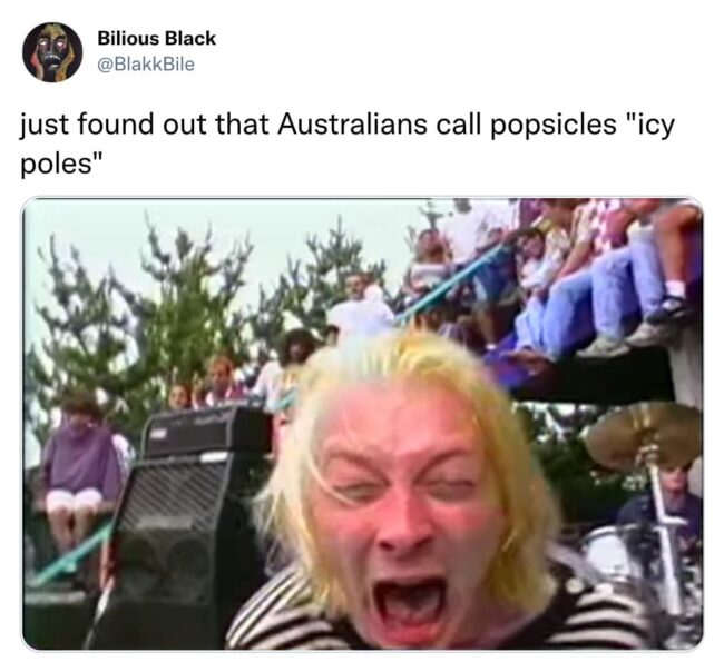 Non-Aussies Have Some Delightfully Bizarre Takes On Australia (35+ Tweets)
