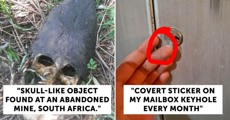 18 Times People Asked The Internet “What Is This Thing?” And The Answers Were A Bit Creepy