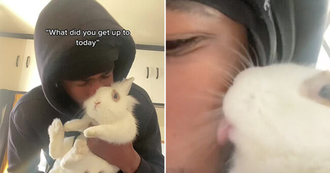 Guy And His Bunny Are Going Viral On TikTok For Their Wholesome Videos