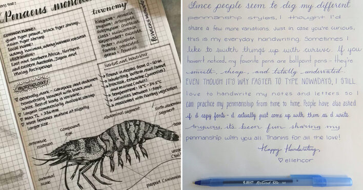 Perfect Penmanship Examples _ Beautiful Handwriting Examples – BVFSXM