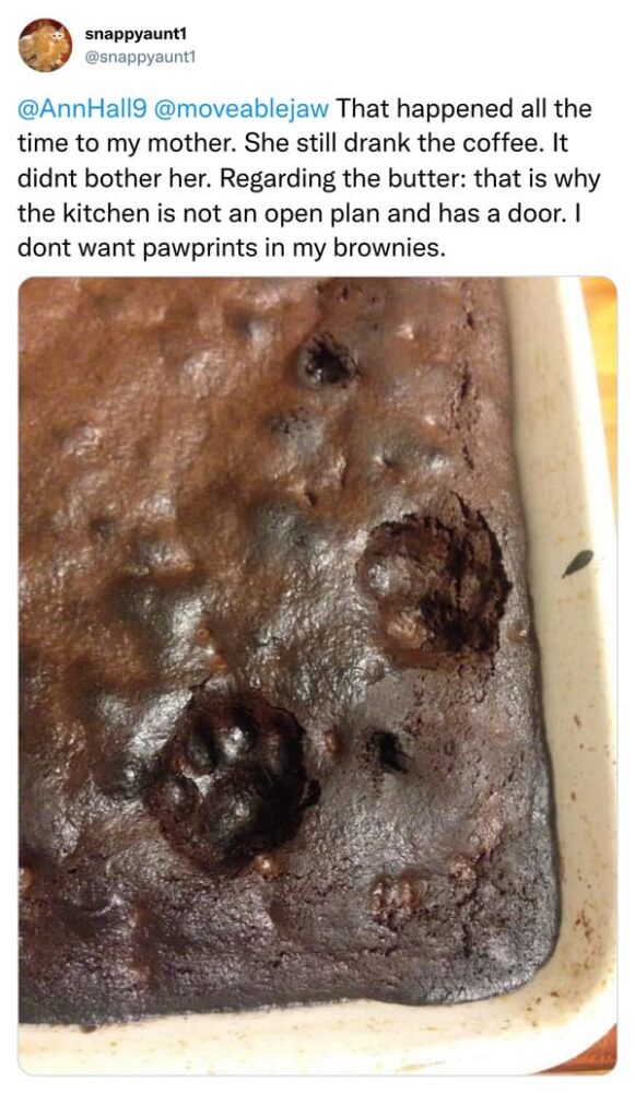 Cat Owner Finds Out Her Cat Has Been Licking Butter Stick For Months