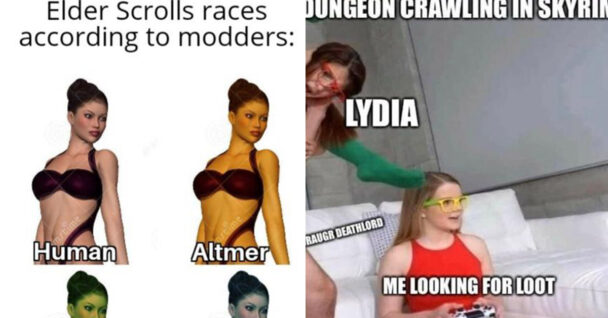 skyrim memes featured image - lydia and eleder scroll races
