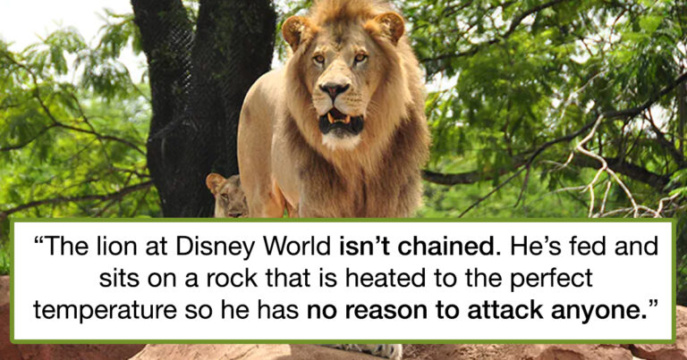 30 Random Bits Of Knowledge People Have Learned That Somehow Feel Illegal To Know