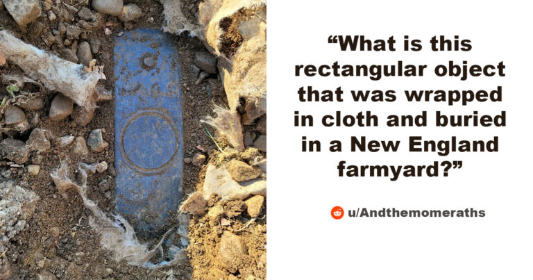 30+ Times People Asked The Internet “What Is This Thing?” And The Internet Knew