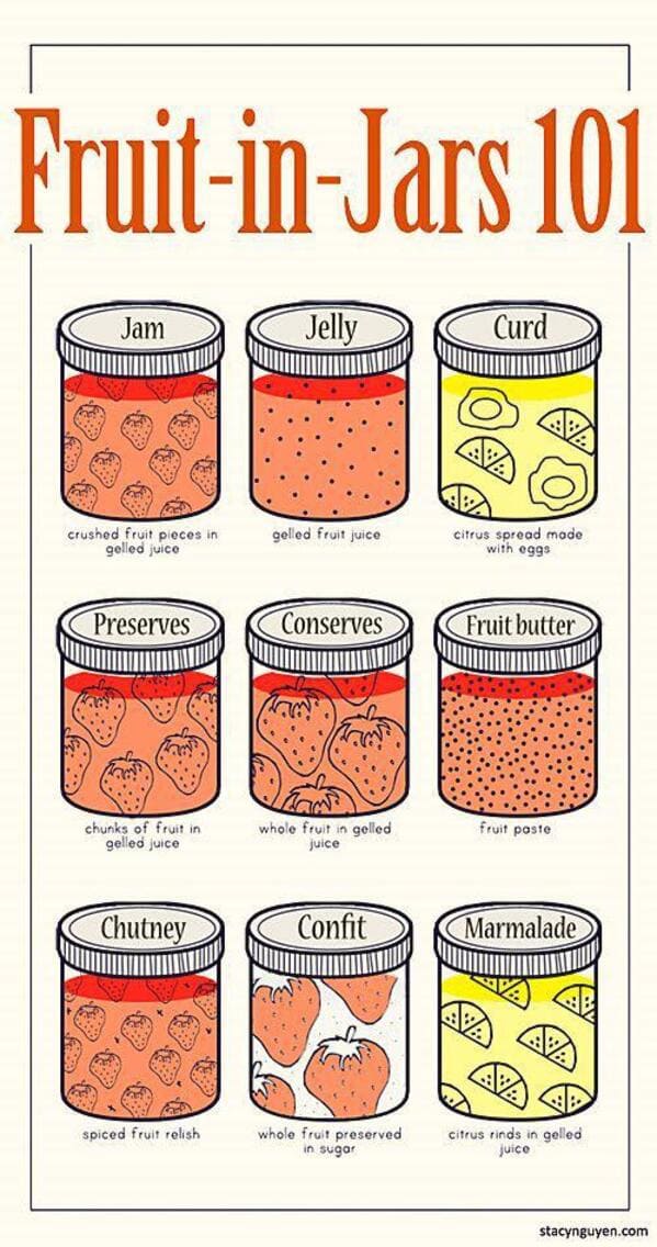 35 Cool Food Charts That Might Actually Make You A Little Bit Smarter - Jarastyle