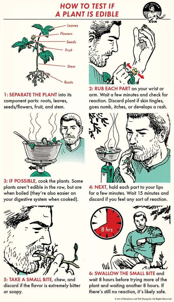 35 Cool Food Charts That Might Actually Make You A Little Bit Smarter - Jarastyle