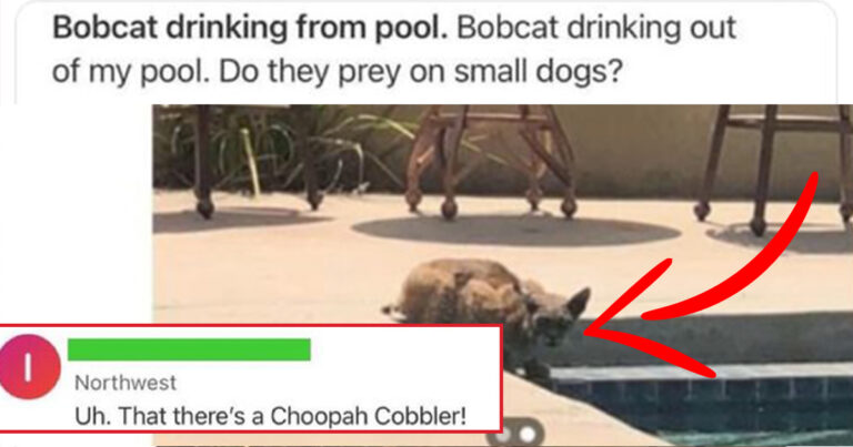 The Best Comments On The Interwebs This Week (20+ Pics)