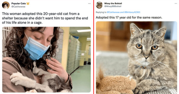 Pleated Jeans No Filler Just Funny 