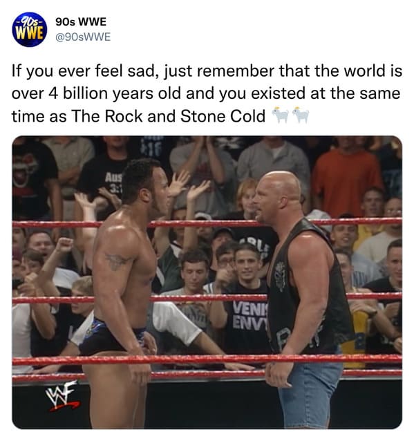 stone cold et memes