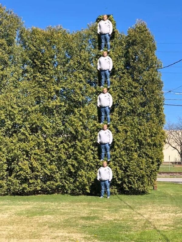 funny dumb life hacks measure height of bushes